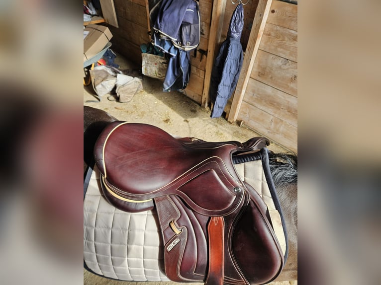 CWD Mademoiselle 2Gs 2C Springsattel