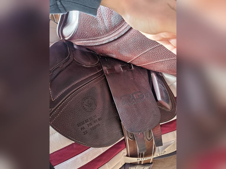 CWD Mademoiselle 2Gs 2C Springsattel