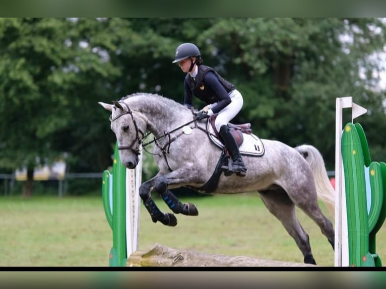 CWD Mademoiselle 2GS  S32