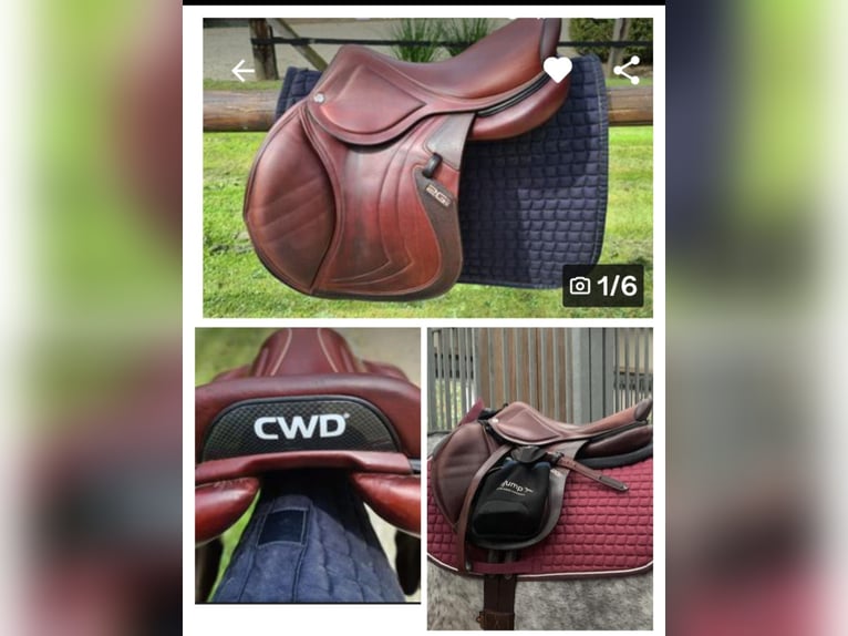 CWD Mademoiselle 2GS  S32