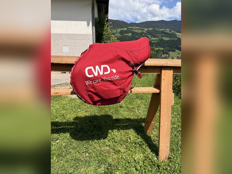 CWD Optim Springsattel – 17,5" – Büffelleder – Top Zustand