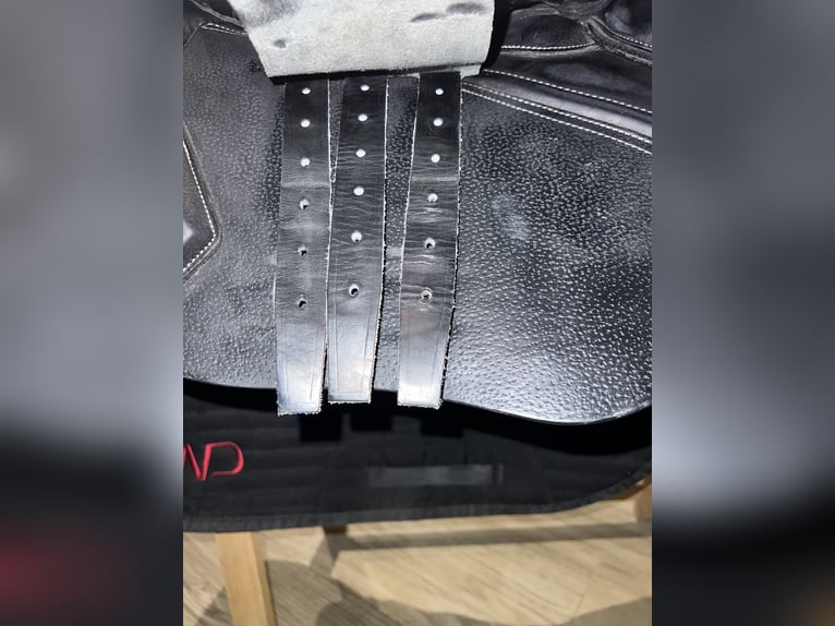 Cwd Sattel 2gs neuwertig 