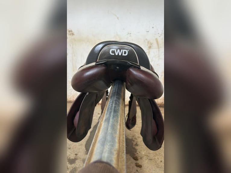 CWD Sattel gebraucht