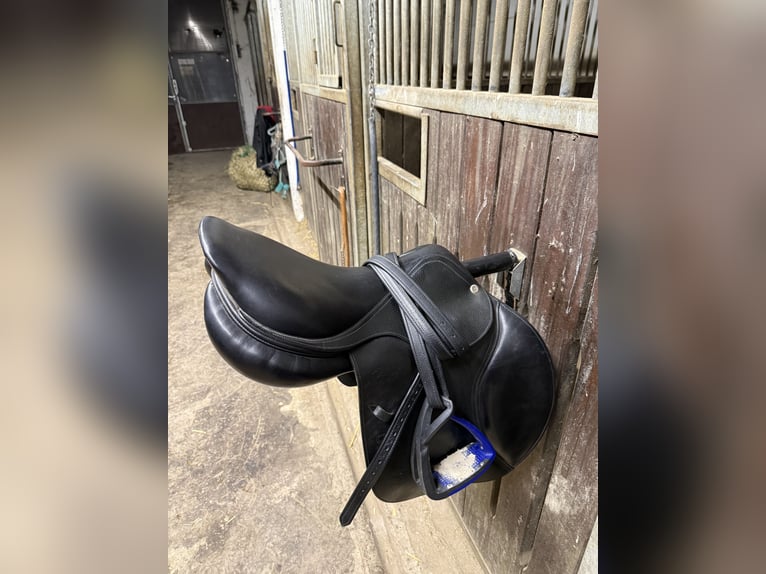 Cwd Springsattel 16zoll + EQuick Stollengurt 130cm