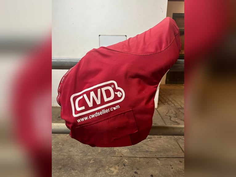 CWD Springsattel 17,5"