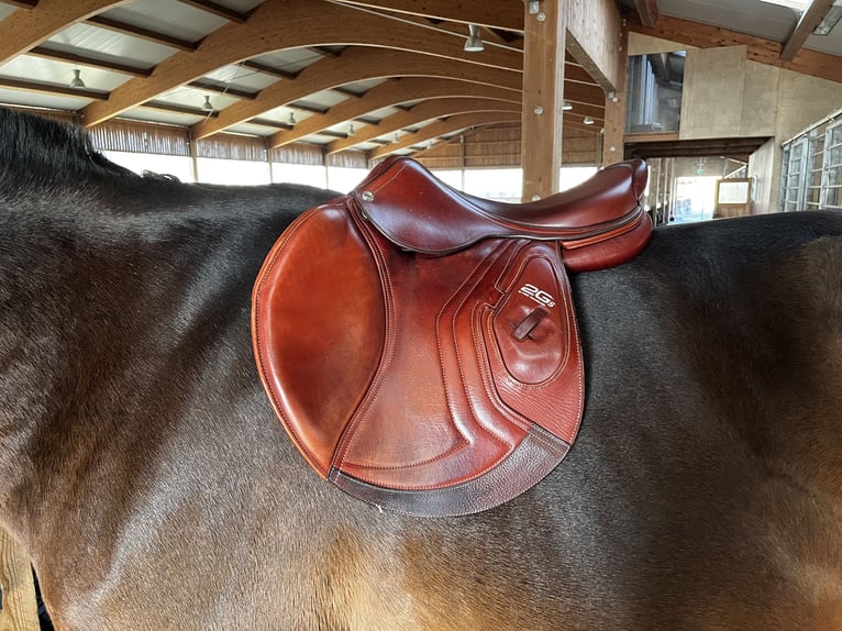 CWD Springsattel 17,5 Zoll