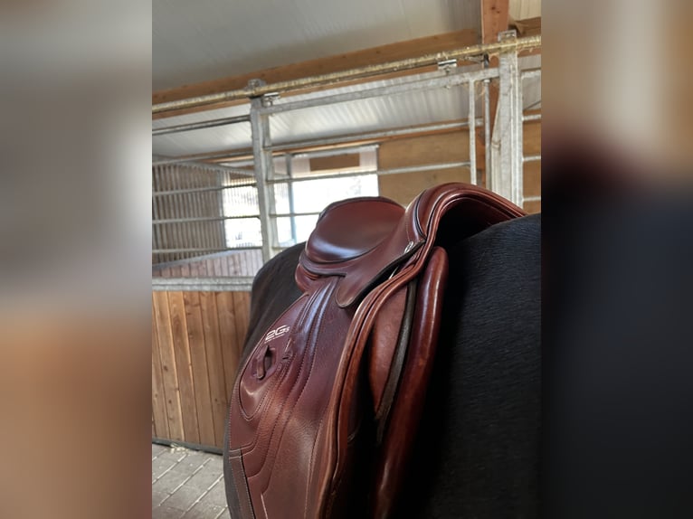 CWD Springsattel 17,5 Zoll
