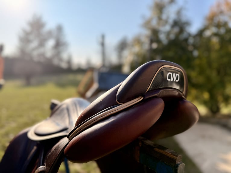 CWD Springsattel 2 G Mademoiselle SE 32