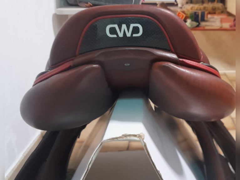 CWD Springsattel braun - nur 6 Monate genutzt