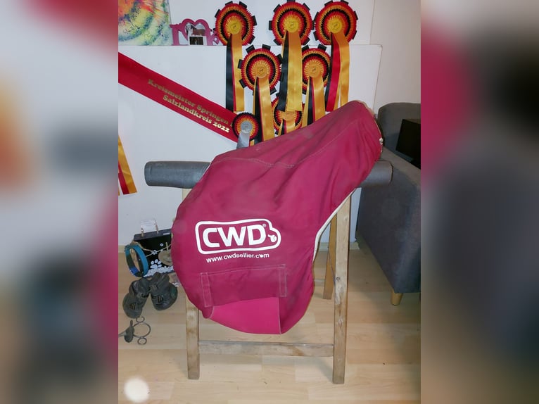 CWD Springsattel, kaum genutzt 