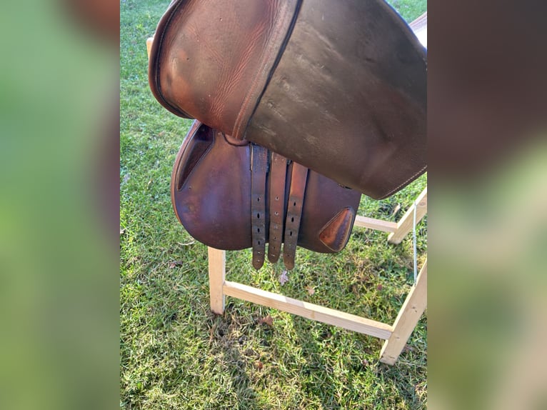 Devoucoux Biarritz 17,5" braun