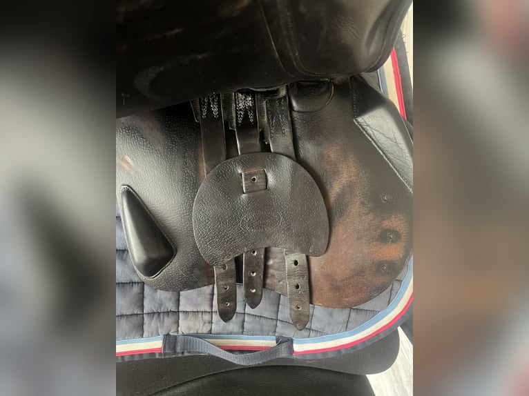 Devoucoux Biarritz 18“