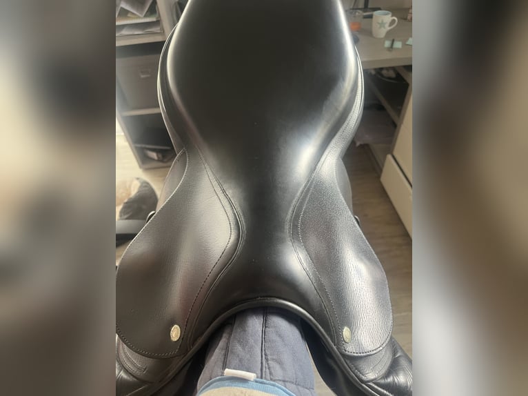 Devoucoux Biarritz 18“