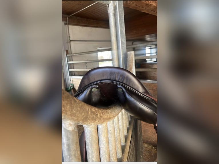 Devoucoux Springsattel  Chiberta O 