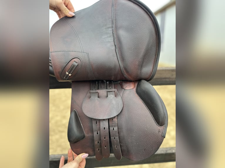 EK EVOLUTION EQUIPE SPRINGSATTEL AUS CARBON