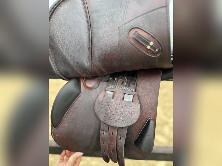 EK EVOLUTION EQUIPE SPRINGSATTEL AUS CARBON