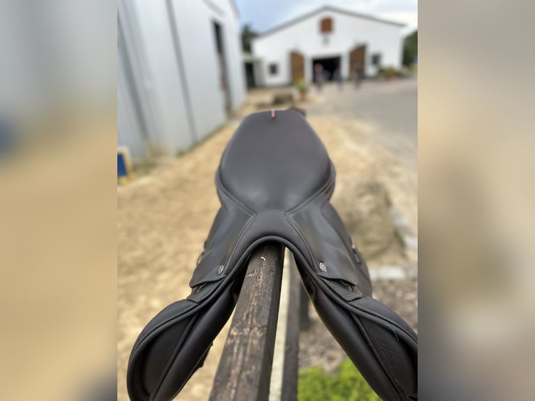 EK EVOLUTION EQUIPE SPRINGSATTEL AUS CARBON