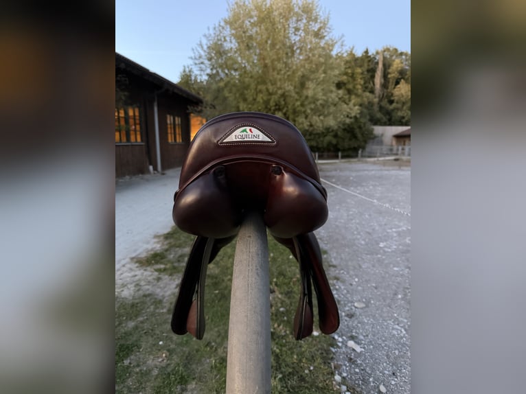 Equiline American Jumper Springsattel 18 Zoll – braun