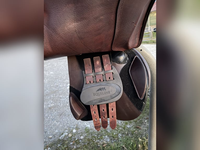 Equiline American Jumper Springsattel 18 Zoll – braun