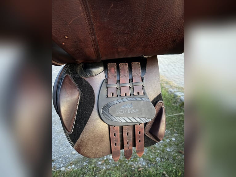 Equiline American Jumper Springsattel 18 Zoll – braun