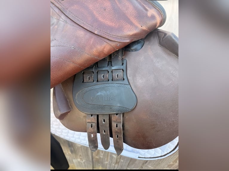 Equiline Challenge 17,5