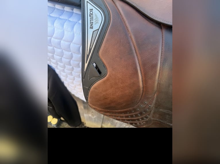 Equiline Challenge 17,5