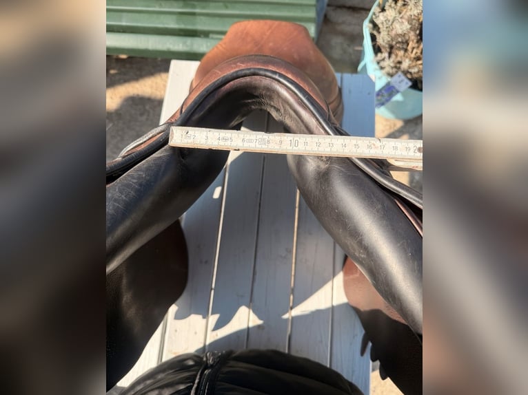 Equiline Challenge 17,5