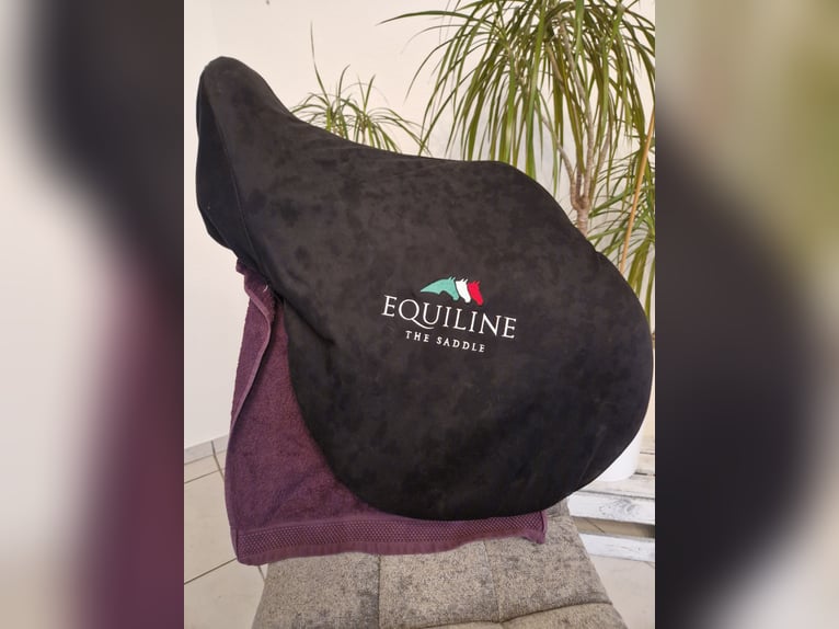 Equiline Dynamic