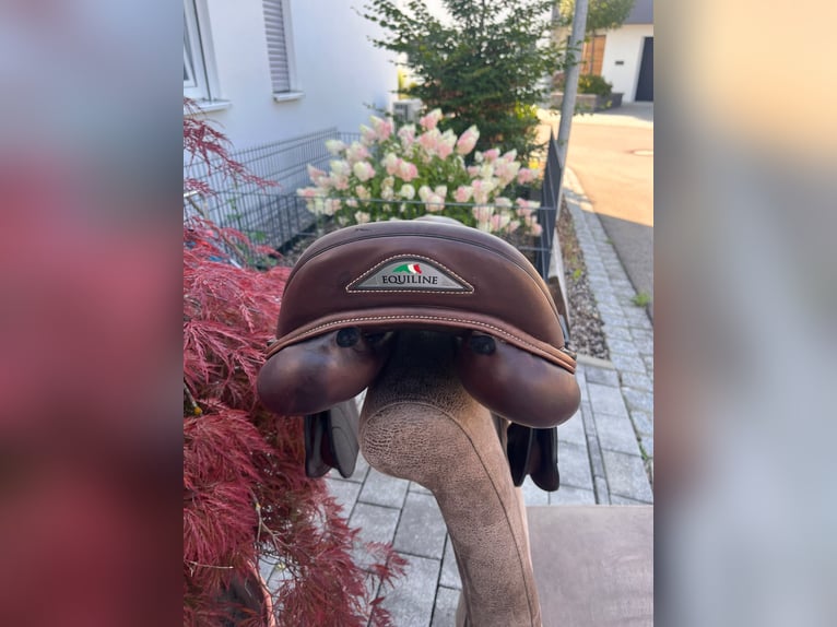 Equiline Nick Skelton Springsattel Braun 17/31