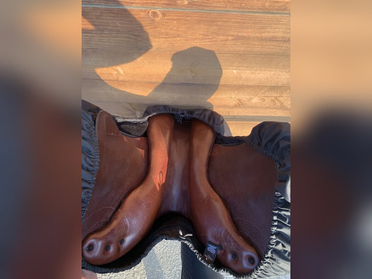 Equiline Springsattel