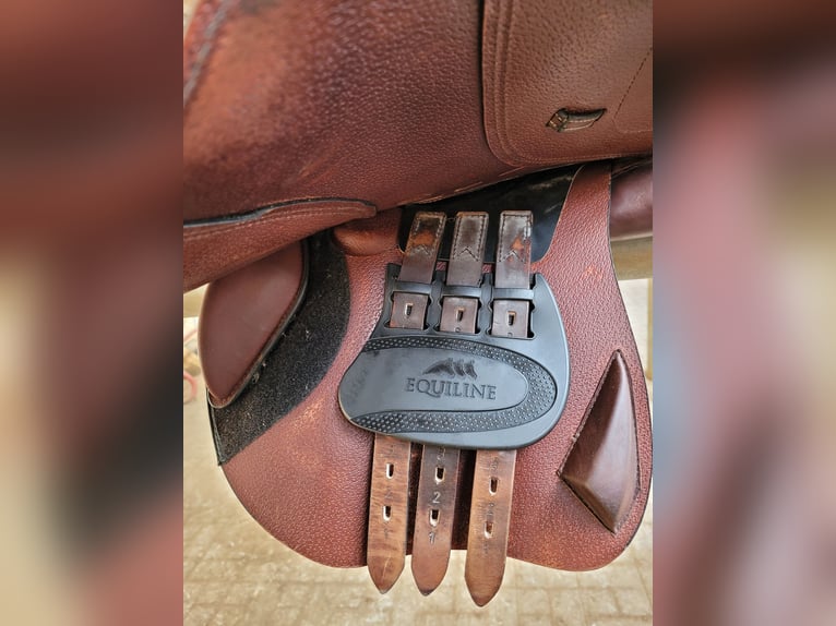 Equiline Springsattel Marque 