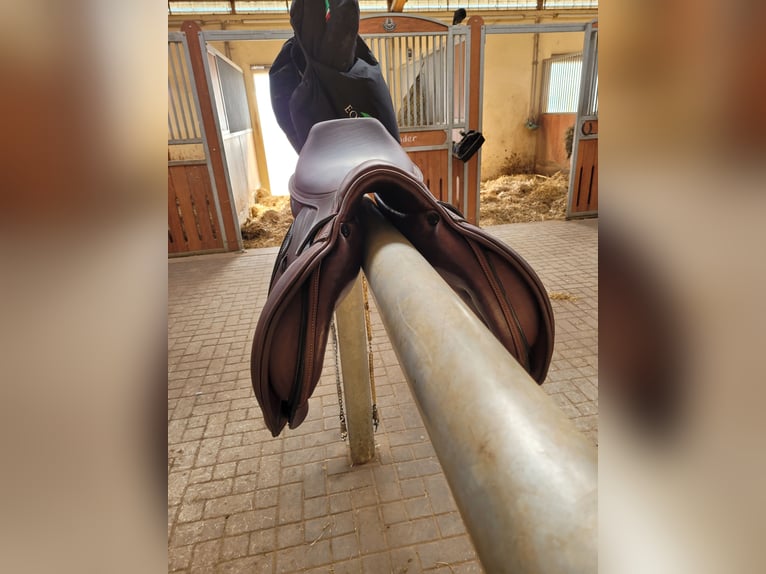 Equiline Springsattel Marque 