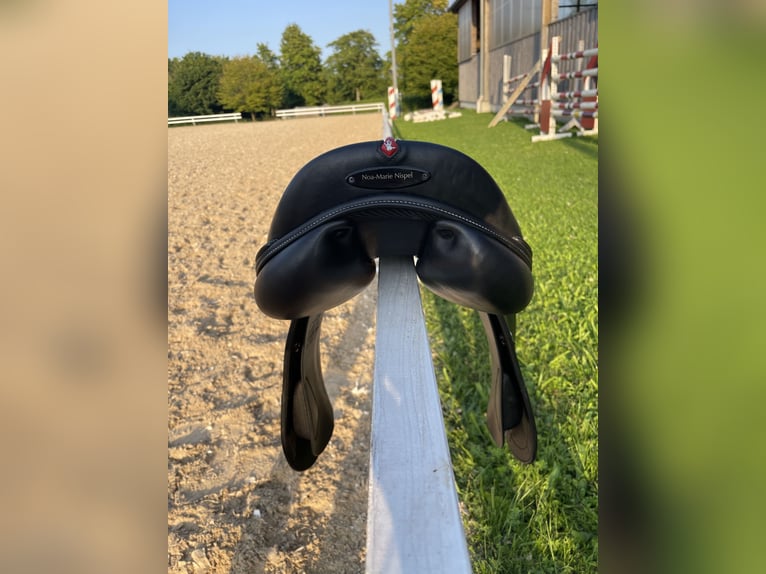 Equipe Springsattel „EK GO“ | 17,5" | Carbonbaum | Latexkissen