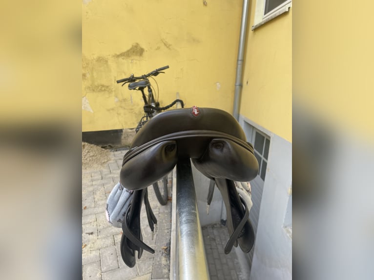 Equipe Springsattel Synergy Spercial