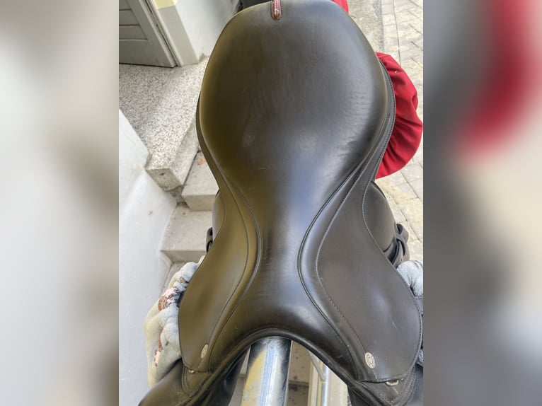 Equipe Springsattel Synergy Spercial