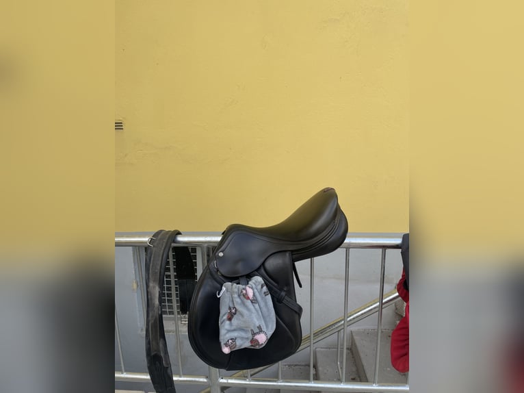 Equipe Springsattel Synergy Spercial