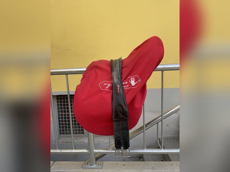 Equipe Springsattel Synergy Spercial