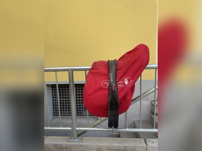 Equipe Springsattel Synergy Spercial