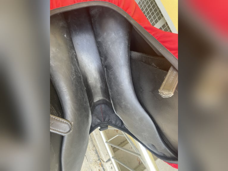 Equipe Springsattel Synergy Spercial