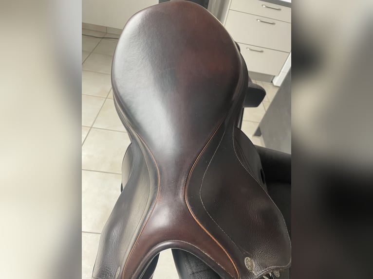 Equipe Texes Springsattel