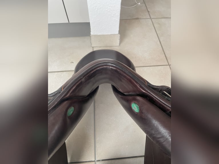 Equipe Texes Springsattel