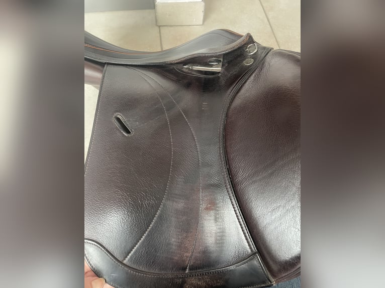 Equipe Texes Springsattel