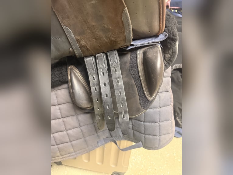 Erre Plus Springsattel