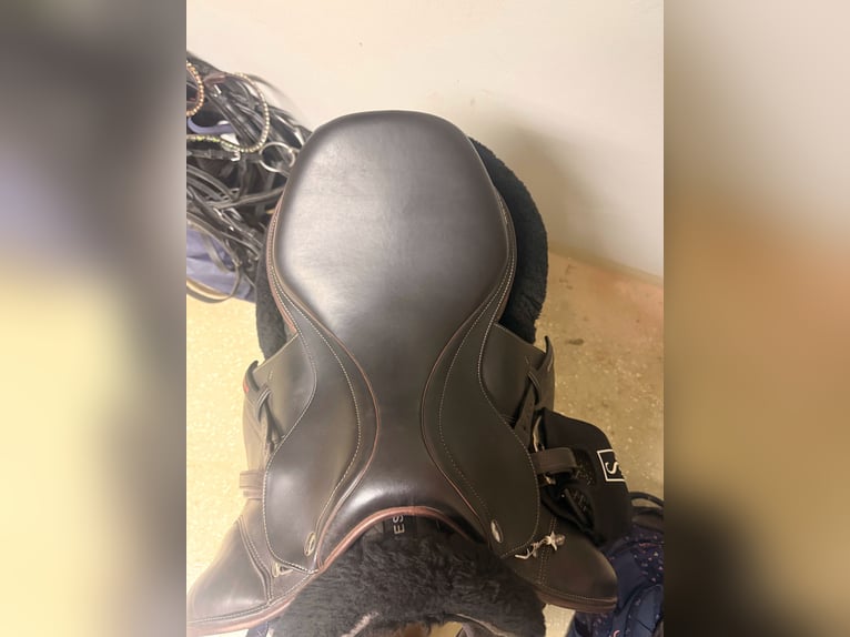 Erre Plus Springsattel