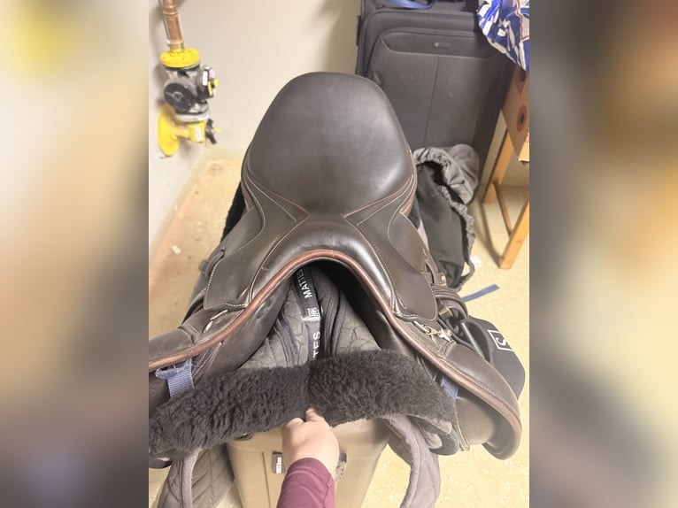 Erre Plus Springsattel