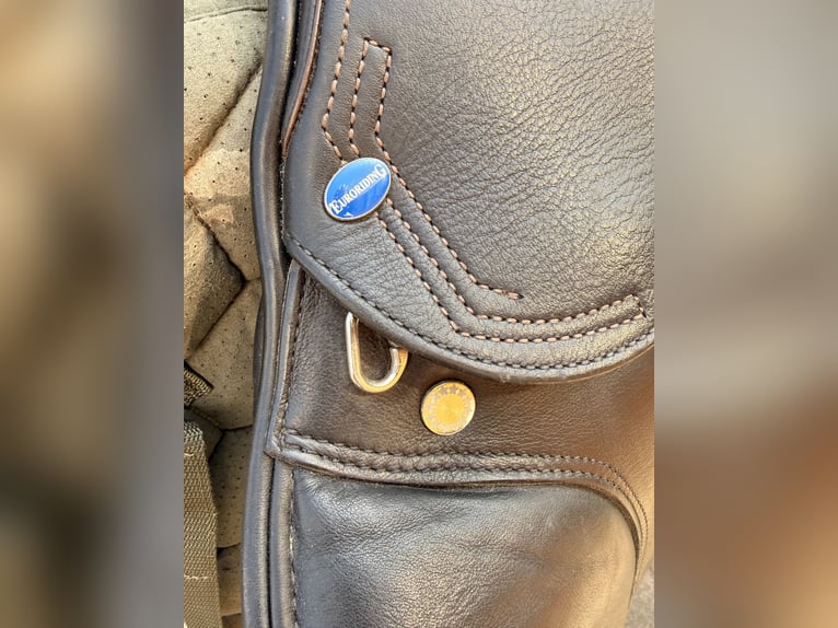 Euroriding Emilio Springsattel