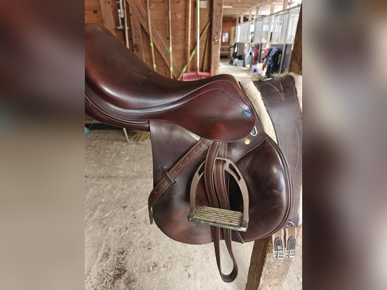 Euroriding Prestige Roberto Springsattel 17/34