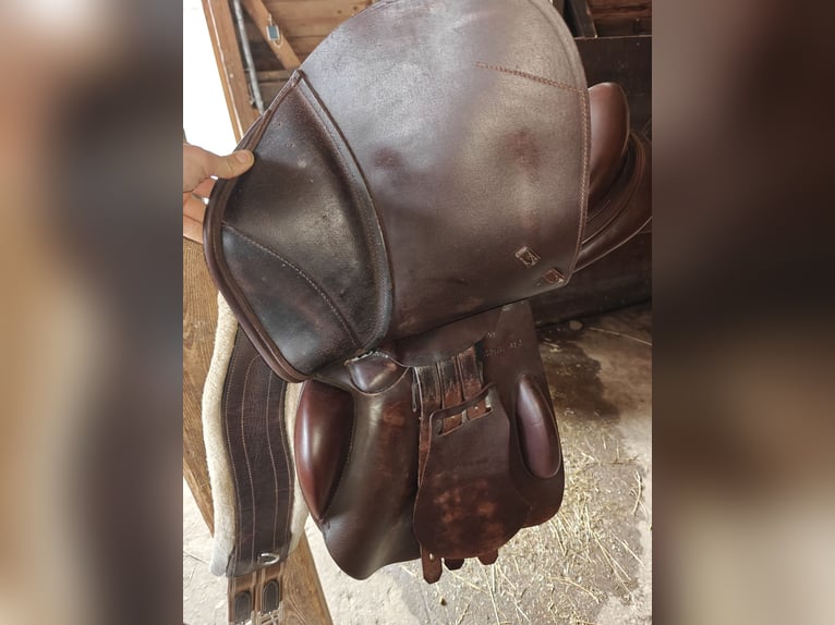 Euroriding Prestige Roberto Springsattel 17/34