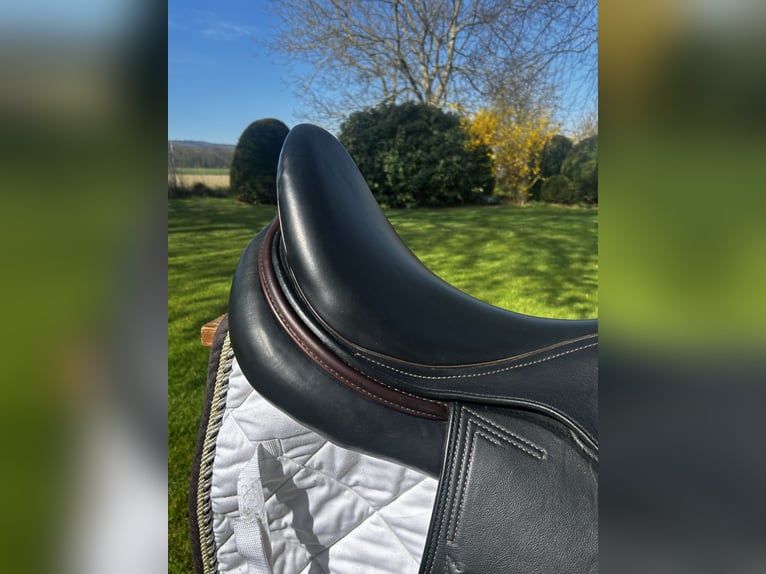 Euroriding Springsattel Emilio 17/33 Tiefsitz D schwarz