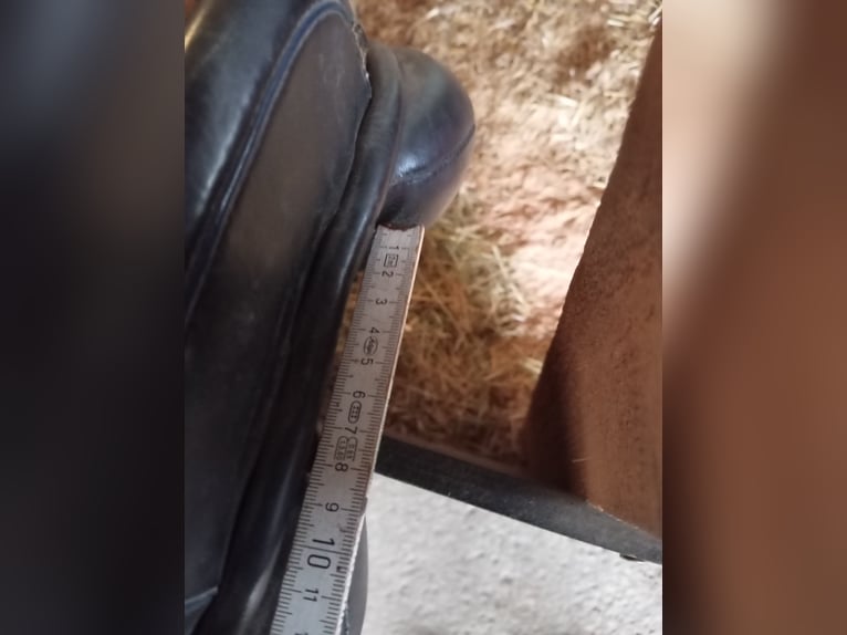 Euroriding Springsattel